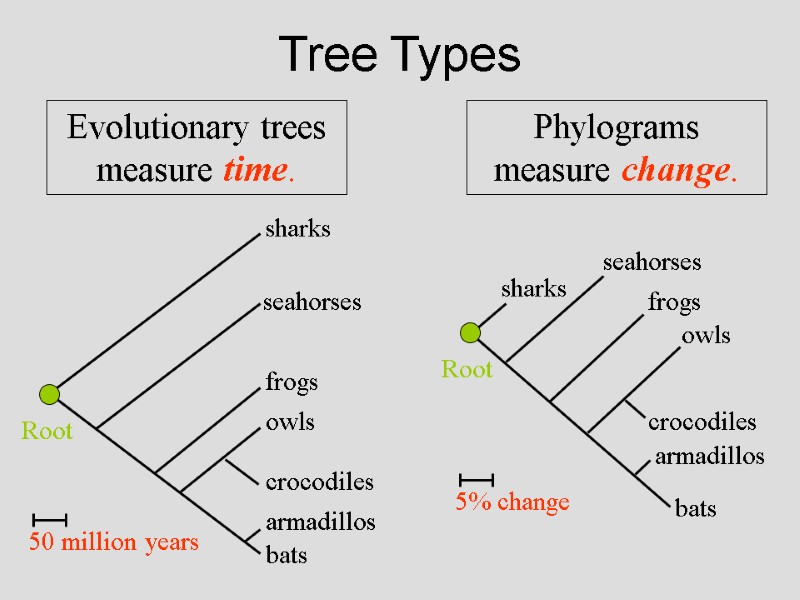 Tree Types